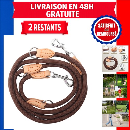 Laisse chien réglable - laisse, 2m
