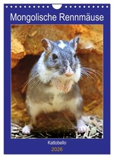 Gerbilles de Mongolie (Calendrier mural 2026 DIN A4 vertical), CALVENDO calendri