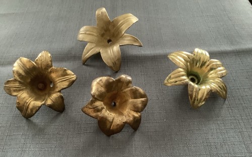 Fleurs lys sans - 4,