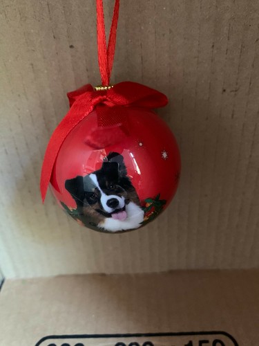 Boule noel chiens chats - boule, de