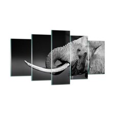 Impression sur Verre 160x85cm