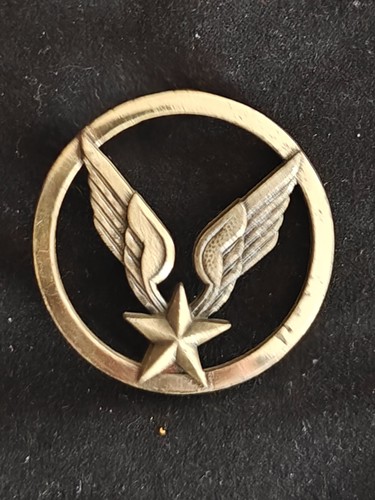 Insigne beret argenté alat - beret,