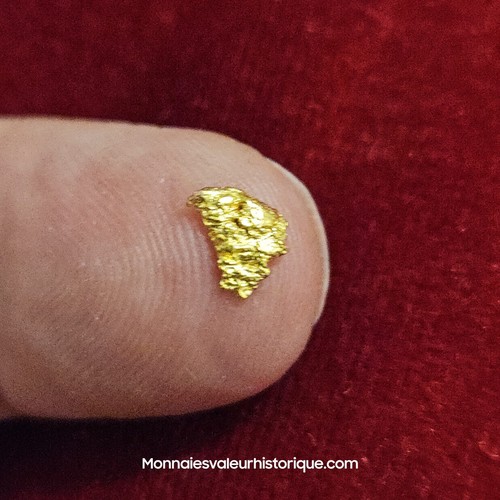 Pépite naturelle - d’or, –