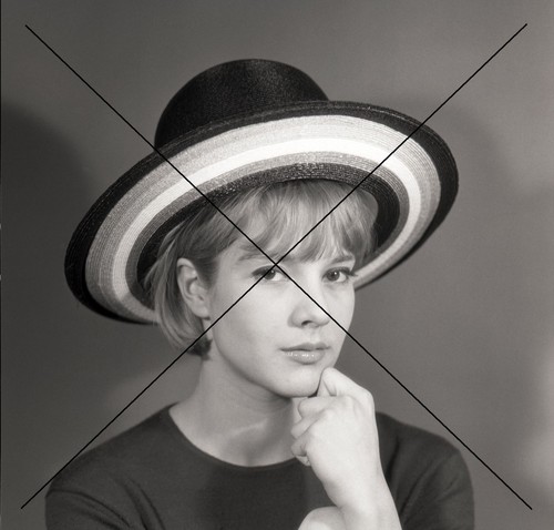 Photo sylvie vartan - sylvie,