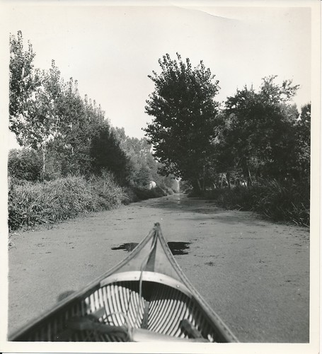 Coulon 1950 marais - c.,
