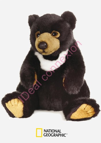 Peluche ours noir asie - peluche,