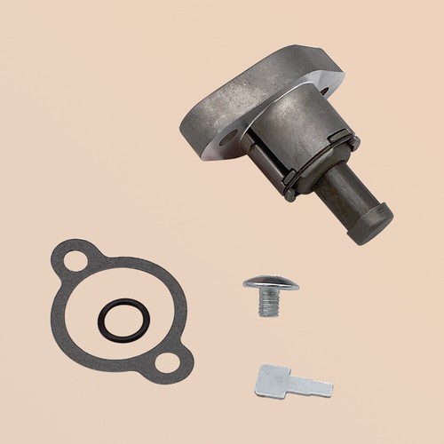 Cam chain lifter tensioner - chain,