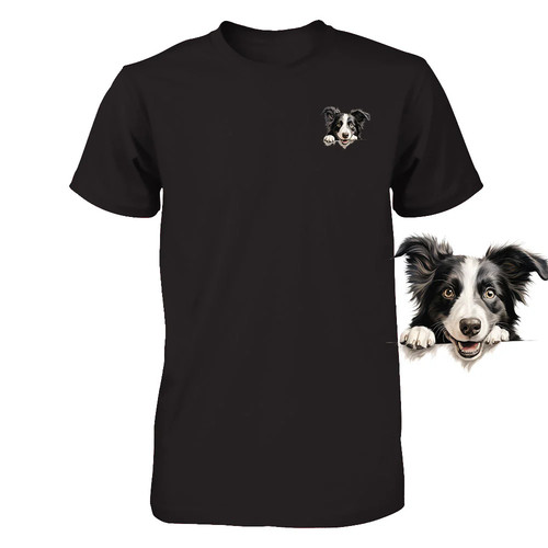 Funny border collie - funny,