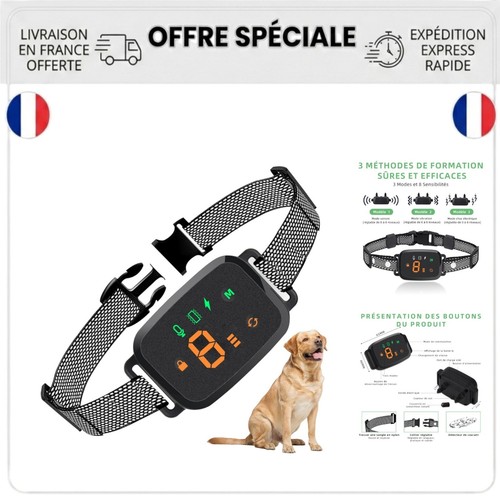 Collier anti aboiement - collier,