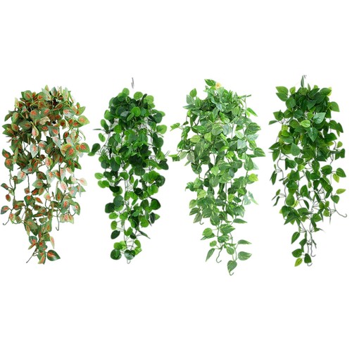 Hsyadazi lot plantes - de,