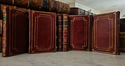 Don quichotte rare - rare, en