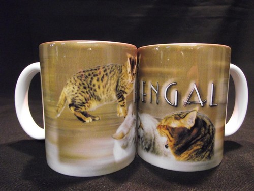 Tasse mug motif - /, chat