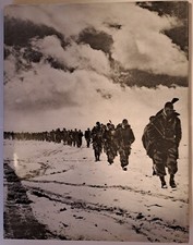 Les dieux meurent en Algérie