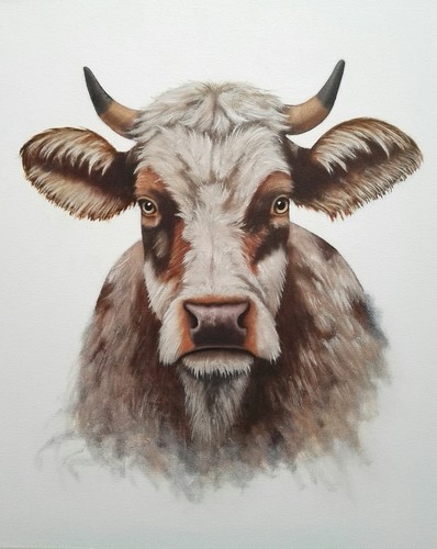Peinture vache huile - vache,,
