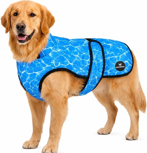 Gilet rafraîchissant chien - gilet, pr