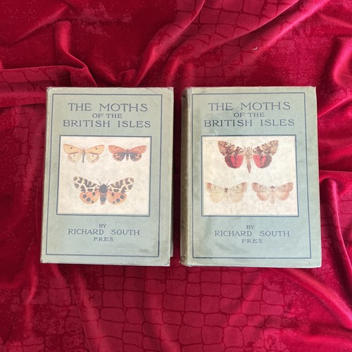 The moths - the, of