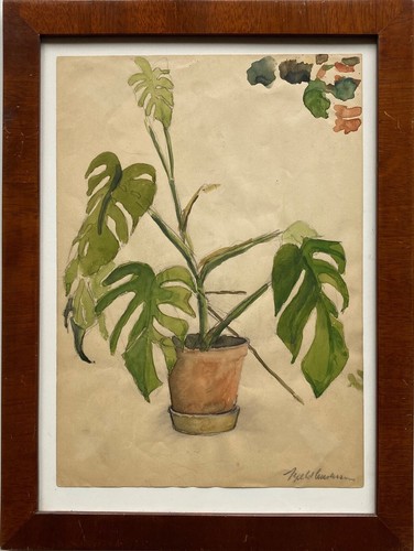 Peinture aquarelle plante - aquarelle,