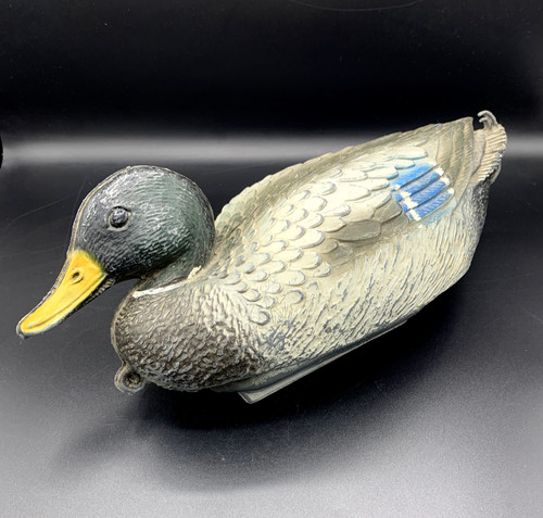 Canard chasse mallard - canard,