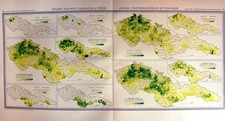 Old Vintage Print 1935 Map Czechoslovakia Arbres Fruitiers Ovocne Vinice 20th