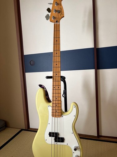 Fender precision bass player - precision,
