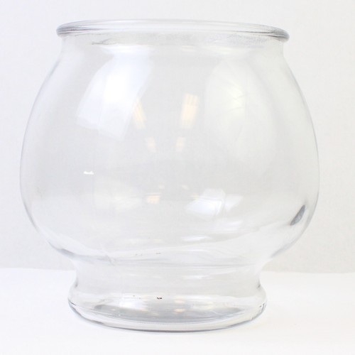 Bocal poissons verre - en,