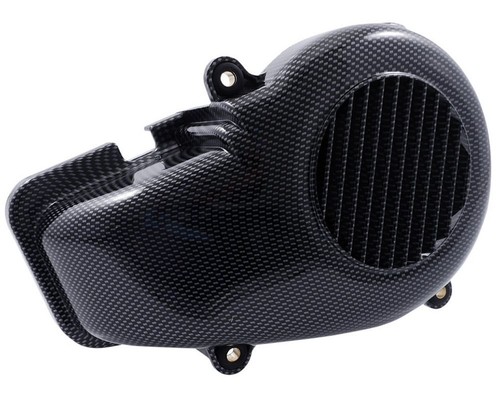 Fan couverture carbone pour
