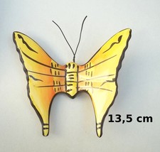 magnifique papillon en
