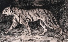 Dessin fusain tableau encadré