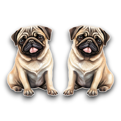 Petit mignon carlin chiot - 2x,