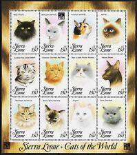 Sierra Leone 1993 Chats Persans Siamois Birman Angora Tigré Écossais Animaux MNH