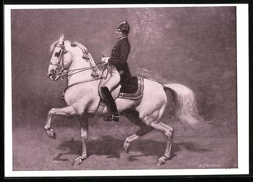 Vienne école équitation - vienne,,