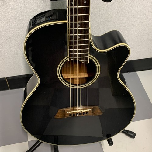 Guitare électrique acoustique