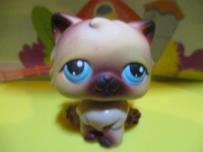 Petshop Chat Persan #22 / Avec