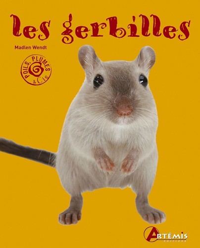 Les gerbilles collectif - les,