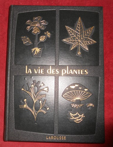 Vie des plantes larousse - vie,