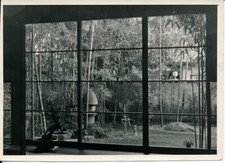 JAPAN c. 1940 - Artistic Bamboo Garden - P 2661