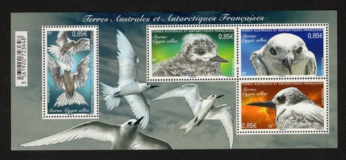 France taaf bloc oiseaux - -,