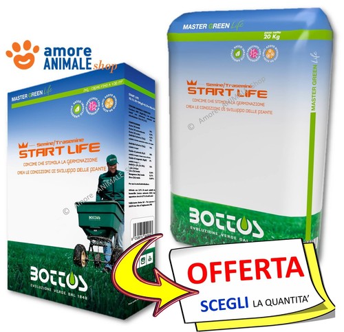 Bottos start life - life, +