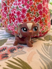 littlest pet shop teckel #1631