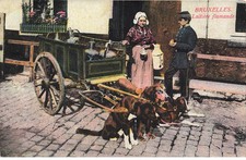 MIKIEP14-031- BELGIQUE BRUXELLES VOITURE A CHIEN LAITIERE FLAMANDE