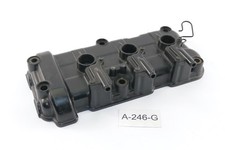 Triumph Speed Triple 955i 595N