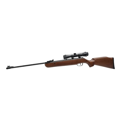 Remington air rifle - rifle, vantage
