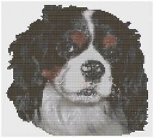 Point de Croix Motif Par