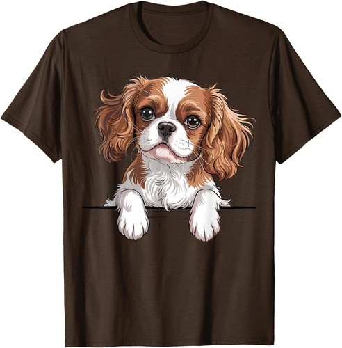 Cavalier king charles - cavalier, spaniel