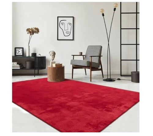 Tapis salon chambre - tapis,