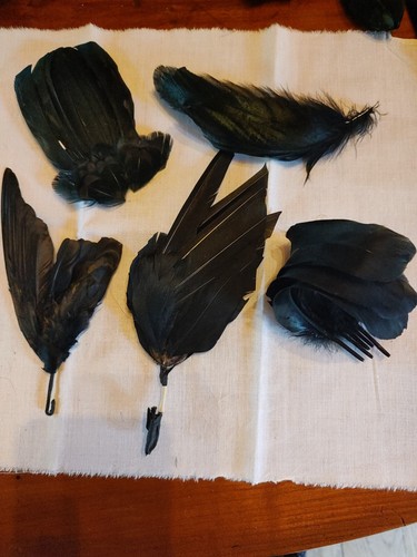 Application ancienne plume - ,