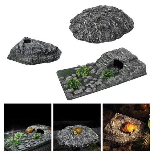 Tortues tant que reptiles - en,