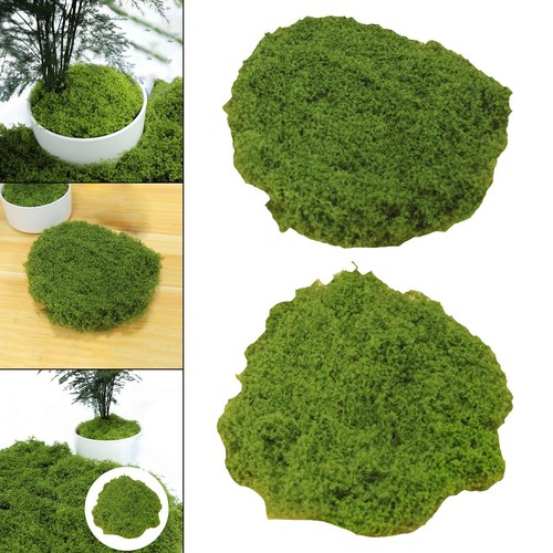 Jardinières jardin en - jardin,