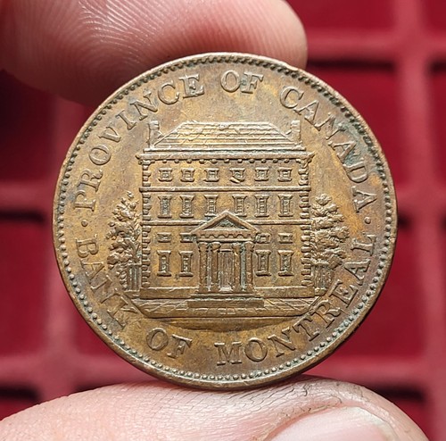 111 canada half penny - ~,