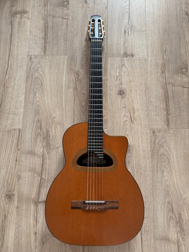 Guitare jazz manouche